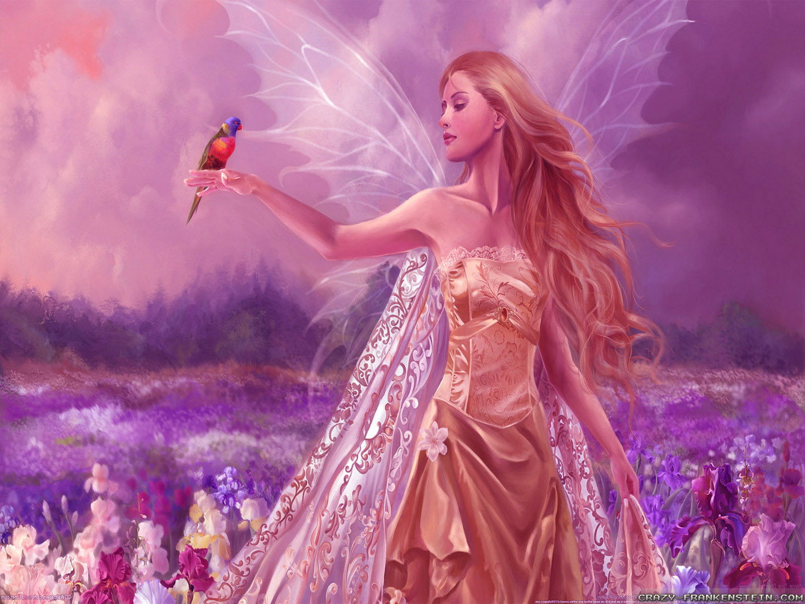 Beautiful Angel And Bird Animal HD Wallpaper Widescreen For PC Computer