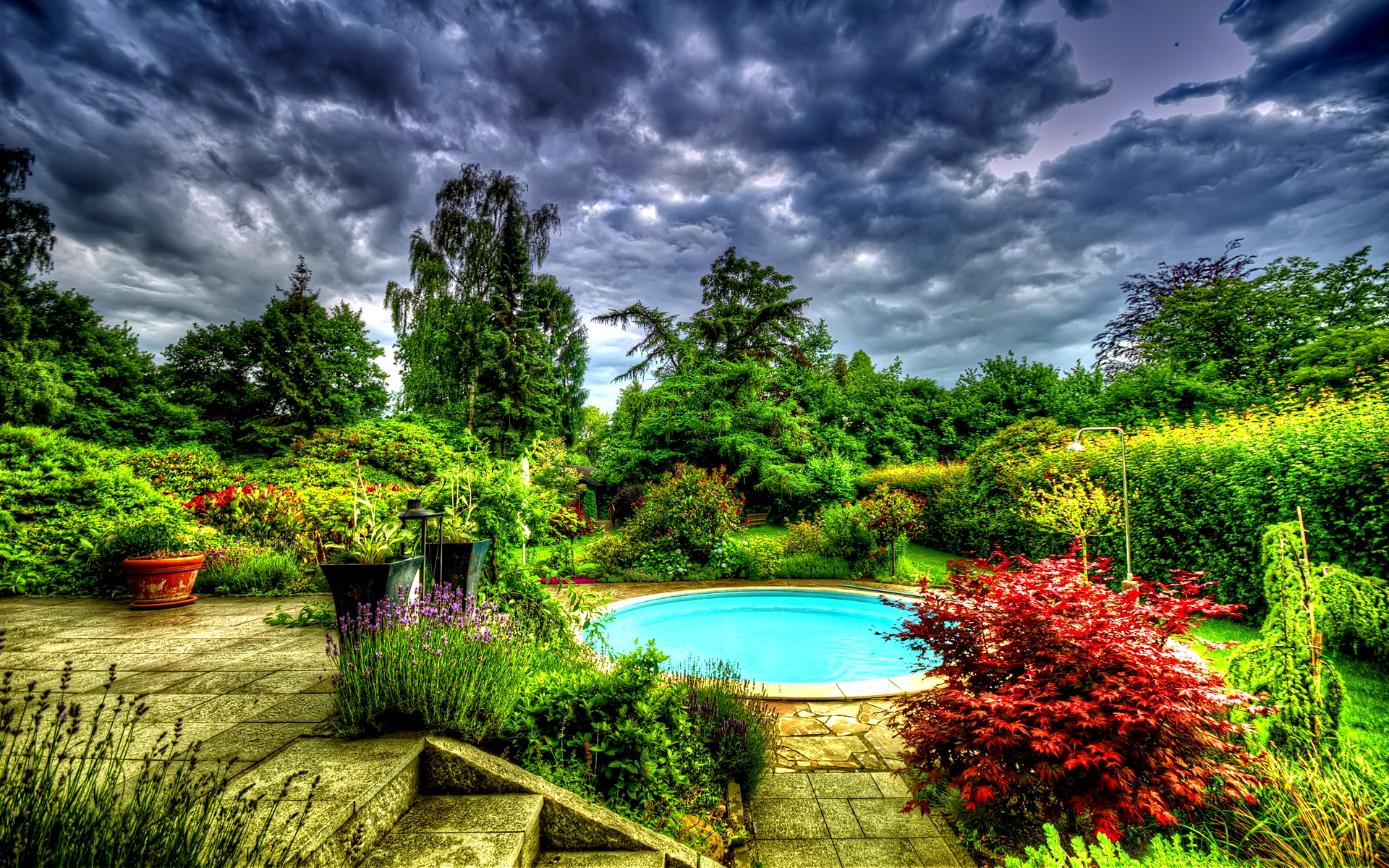 Garden before the storm