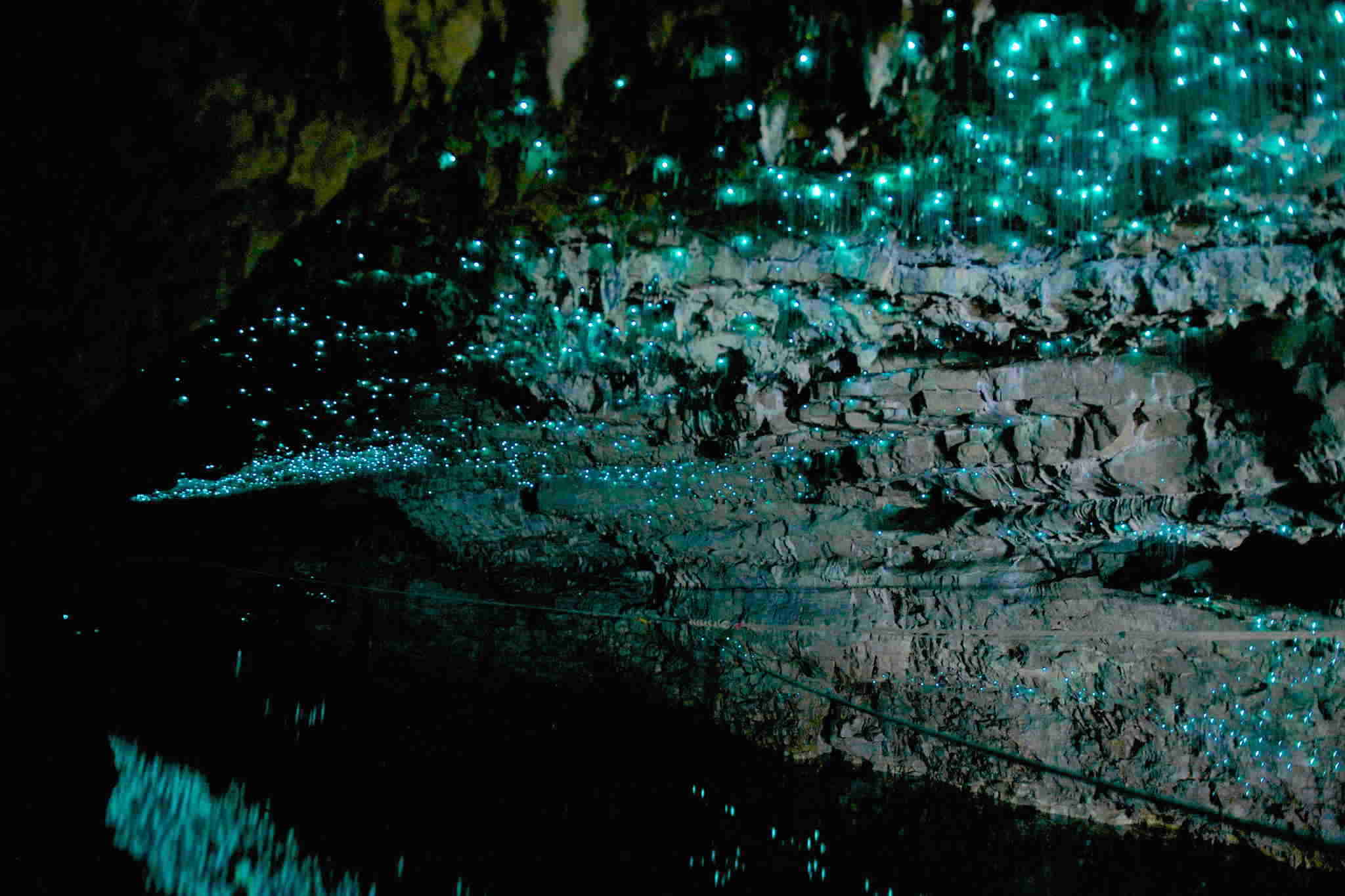Glowworm Caves New Zealand HD Wallpaper by Wallsev.com