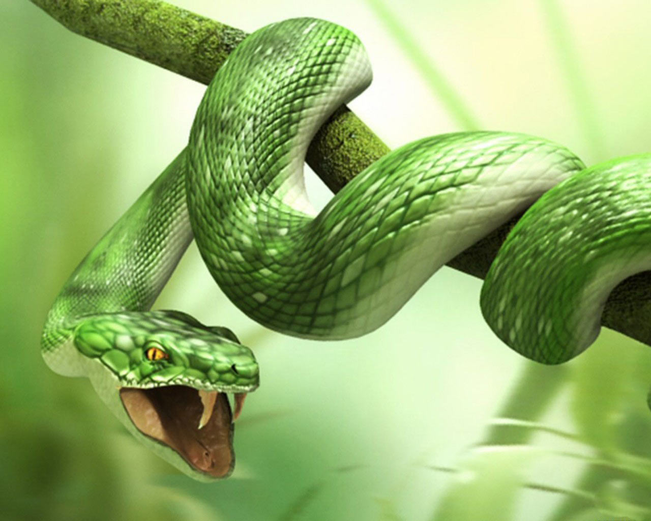 3D Snake Animals Wallpapers HD Widescreen