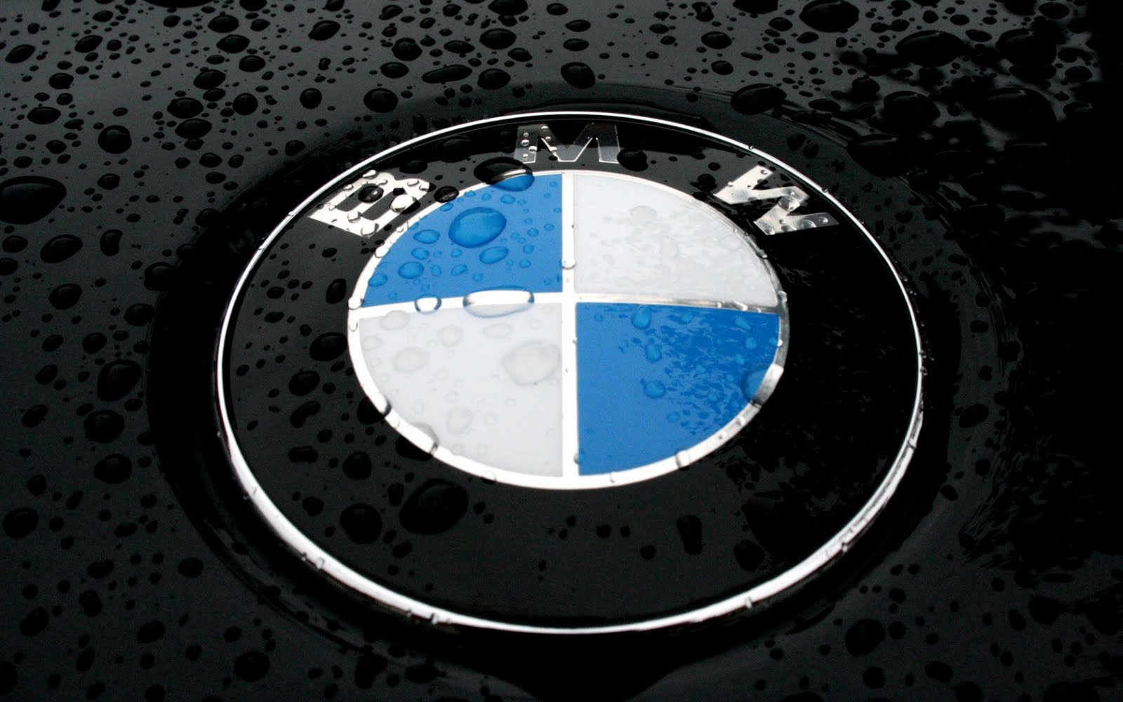 Hot Cars BMW Logo 2011 Wallpaper HD Widescreen