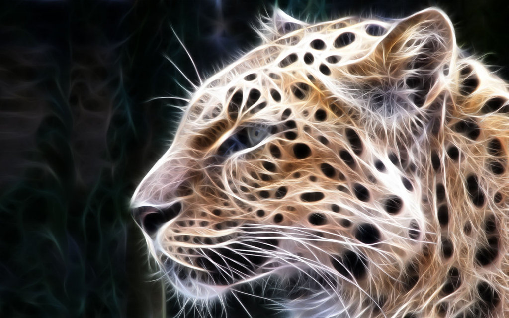 Leopard Animal Wallpaper