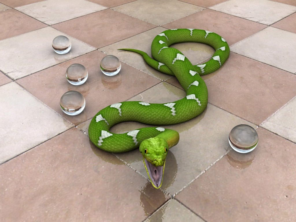 Free Download 3D Snake Wallpaper Top Best Wallpapers