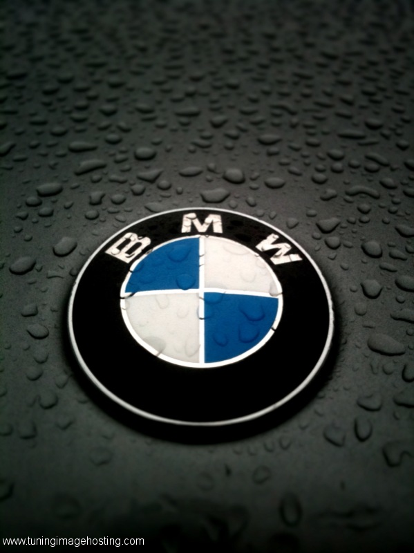 BMW Logo Iphone Wallpaper Free Download
