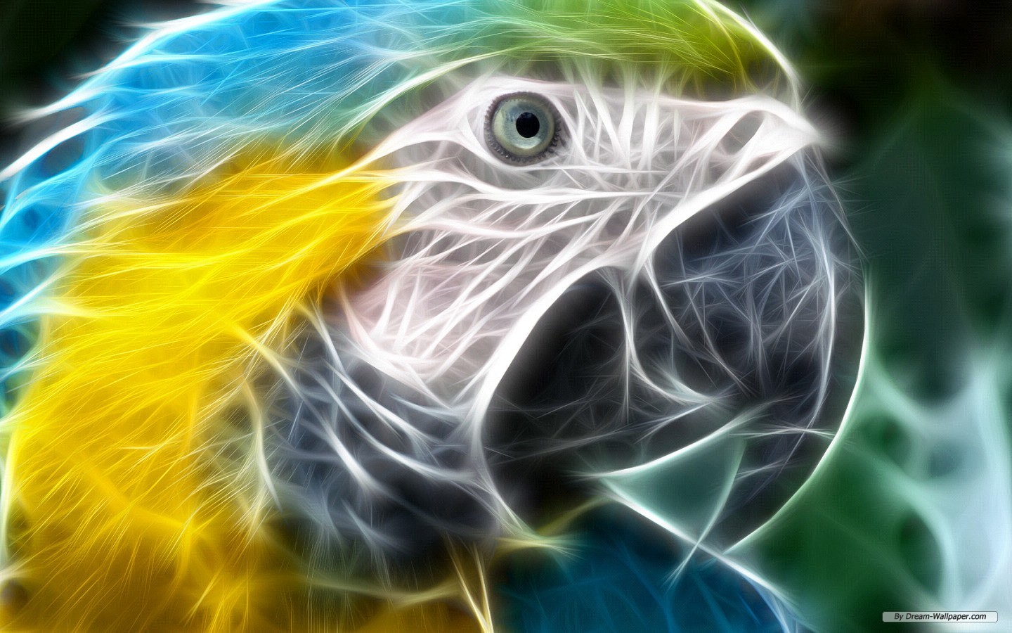 Free Art 3D Animal Image Wallpaper Index For Dekstop