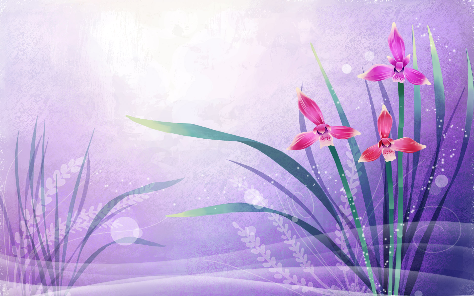 Beautiful Vector Art Flowers Wallpapers  Image Picture Free
