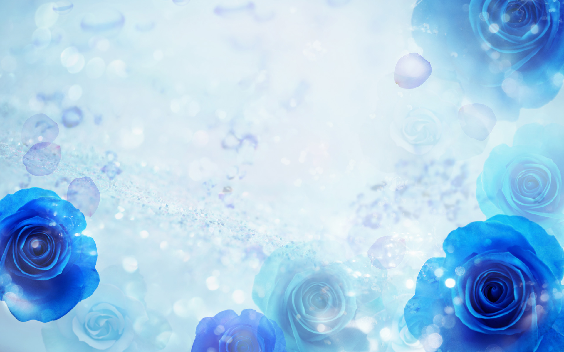 Beautiful Aquarium In Blue Colors 3D Wallpaper Image