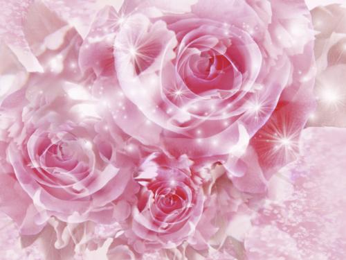 Beautiful 3D Wallpapers Top Ten Beaches Top Friends Pink Flower