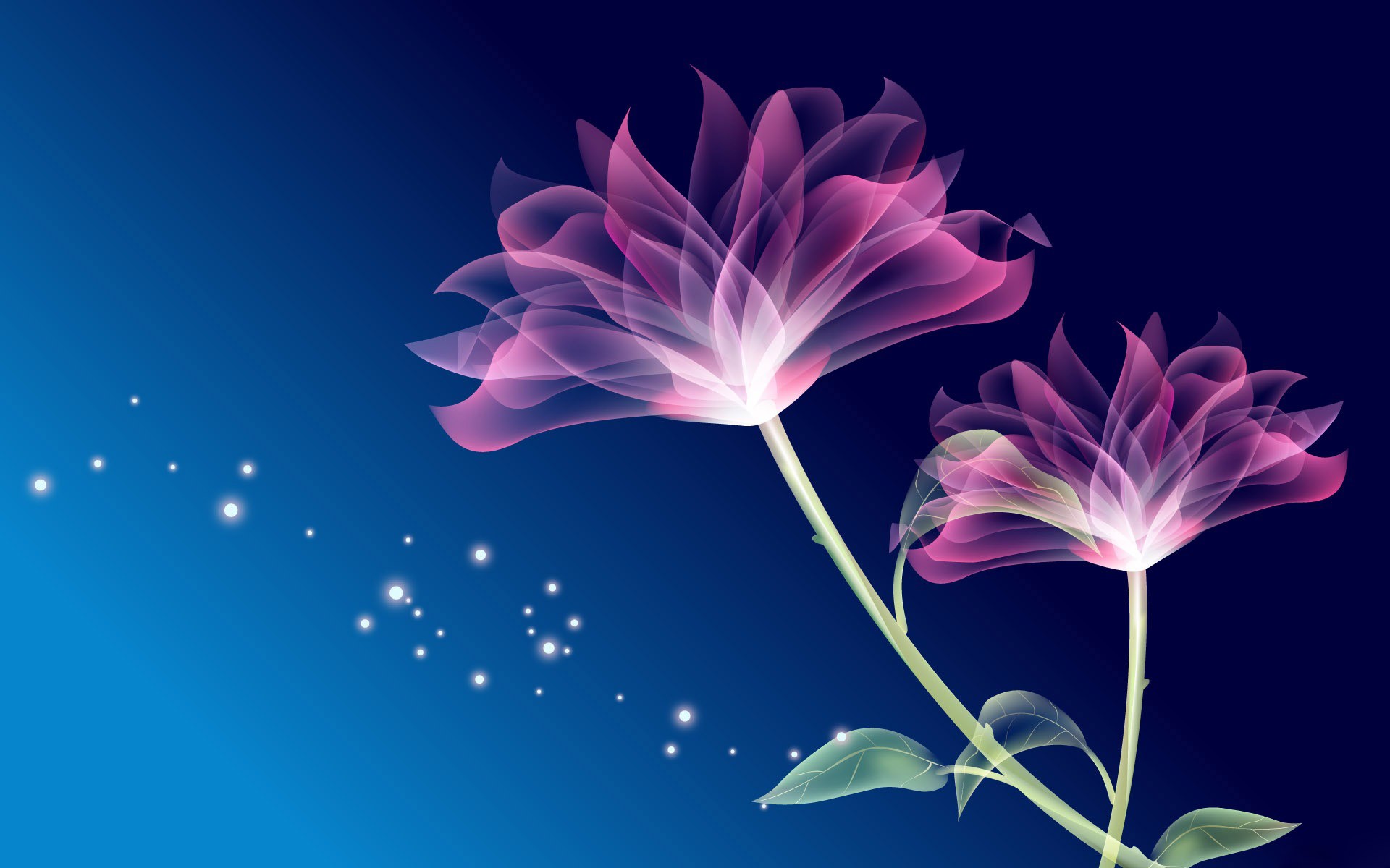 Flower Abstract Best HD Wallpaper Gallery Picture