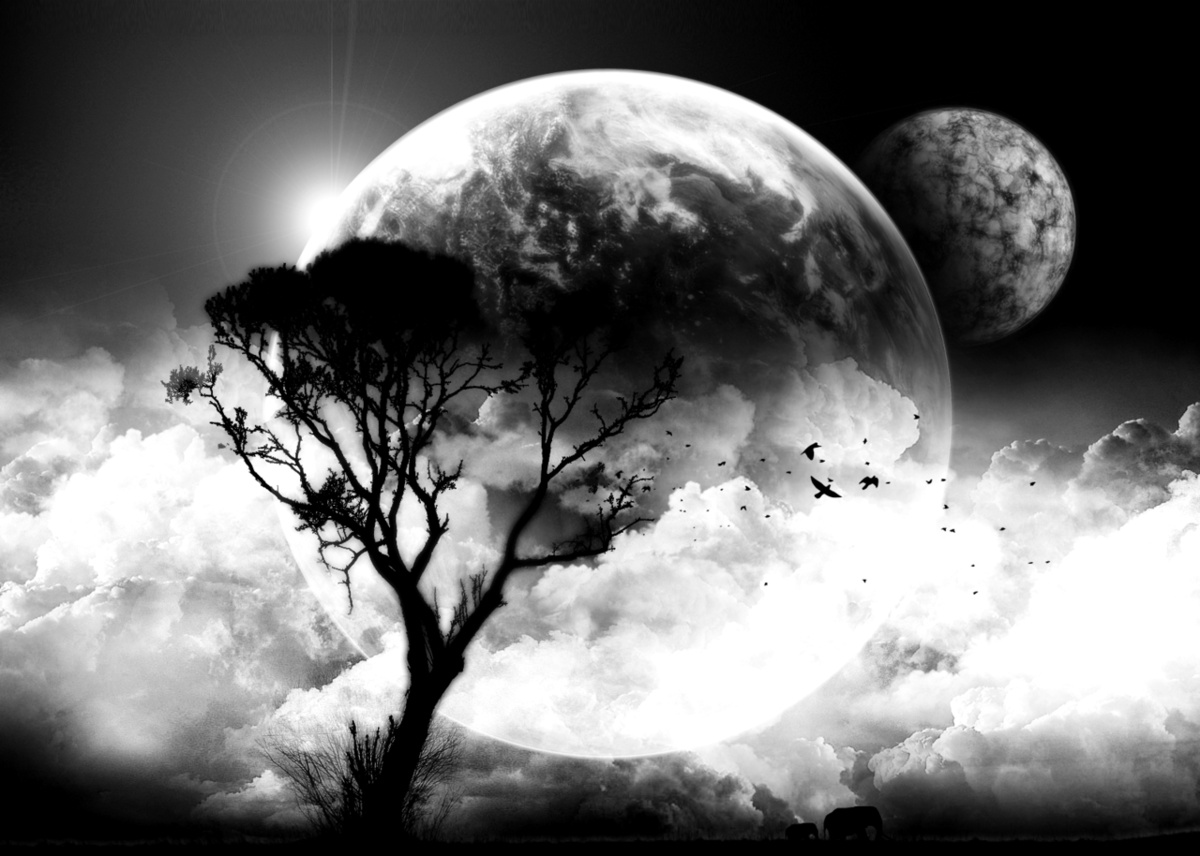 Art Black And White Clouds Moon Tree Inspiring Picture