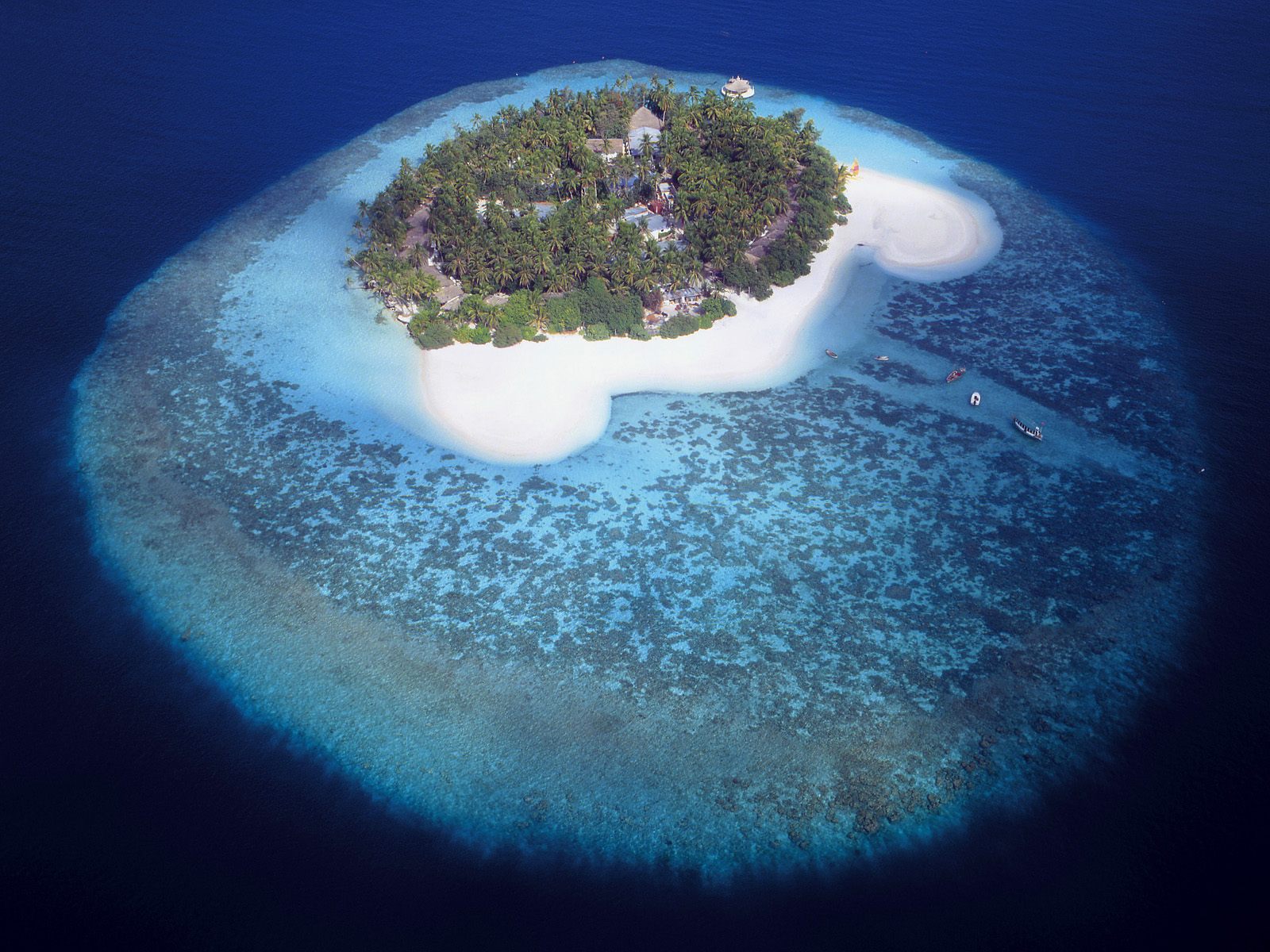 Aerial Photography View Of A Tropical Island Maldives HD Wallpaper