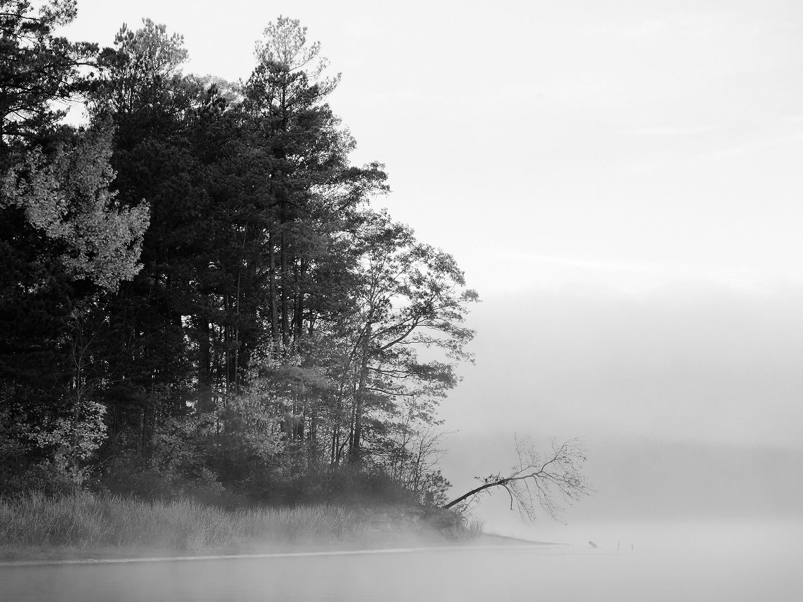 Foggy Lake Black And White Nature Picture Photo HD Wallpaper