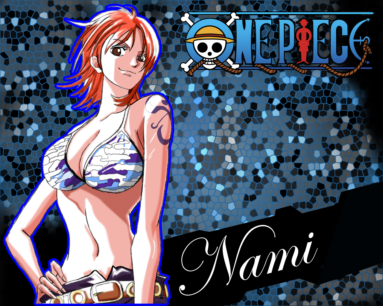 Nami One Piece Wallpaper HD Widescreen For Your PC Computer