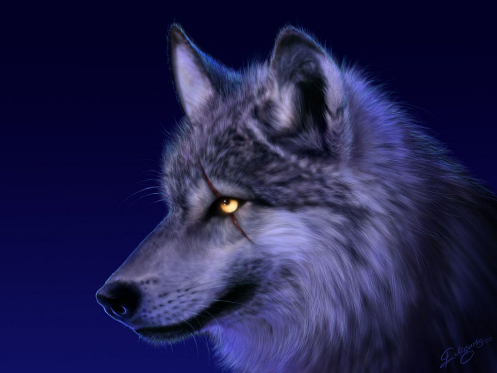 Amazing Wolf Eye Animal Picture Wallpaper HD Widescreen