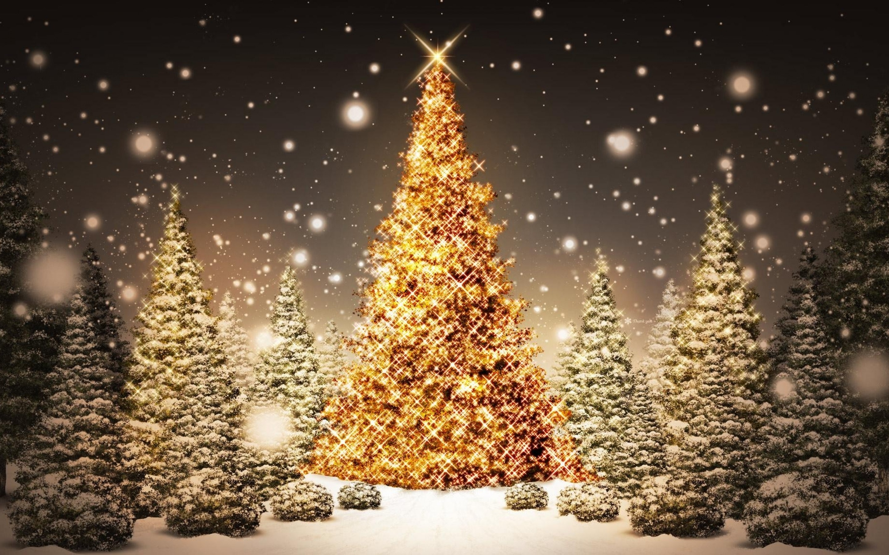 Awesome Christmas Tree And Star Picture Image HD Wallpaper