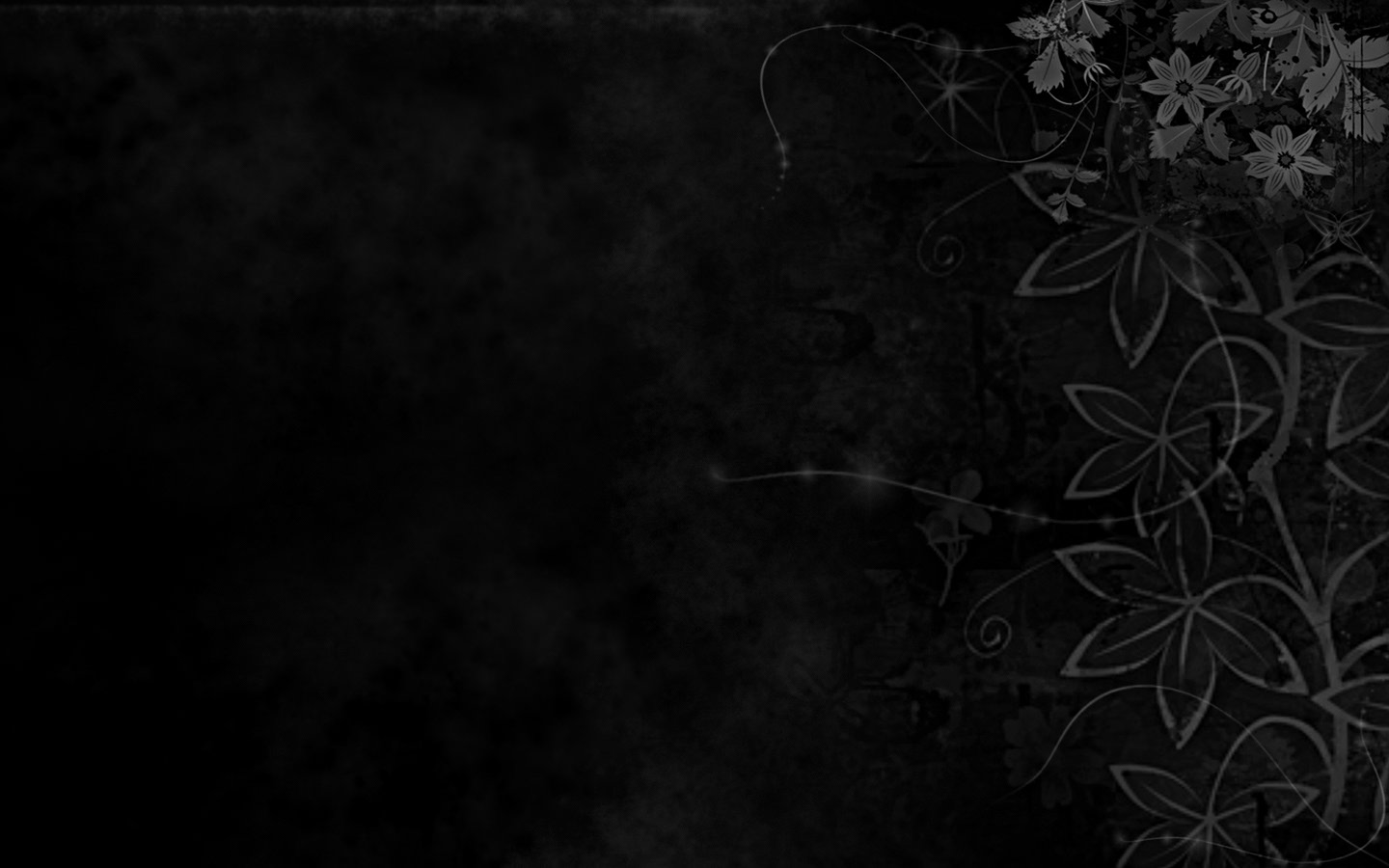 Black Flower HD Wallpaper Image Background For Your PC Desktop
