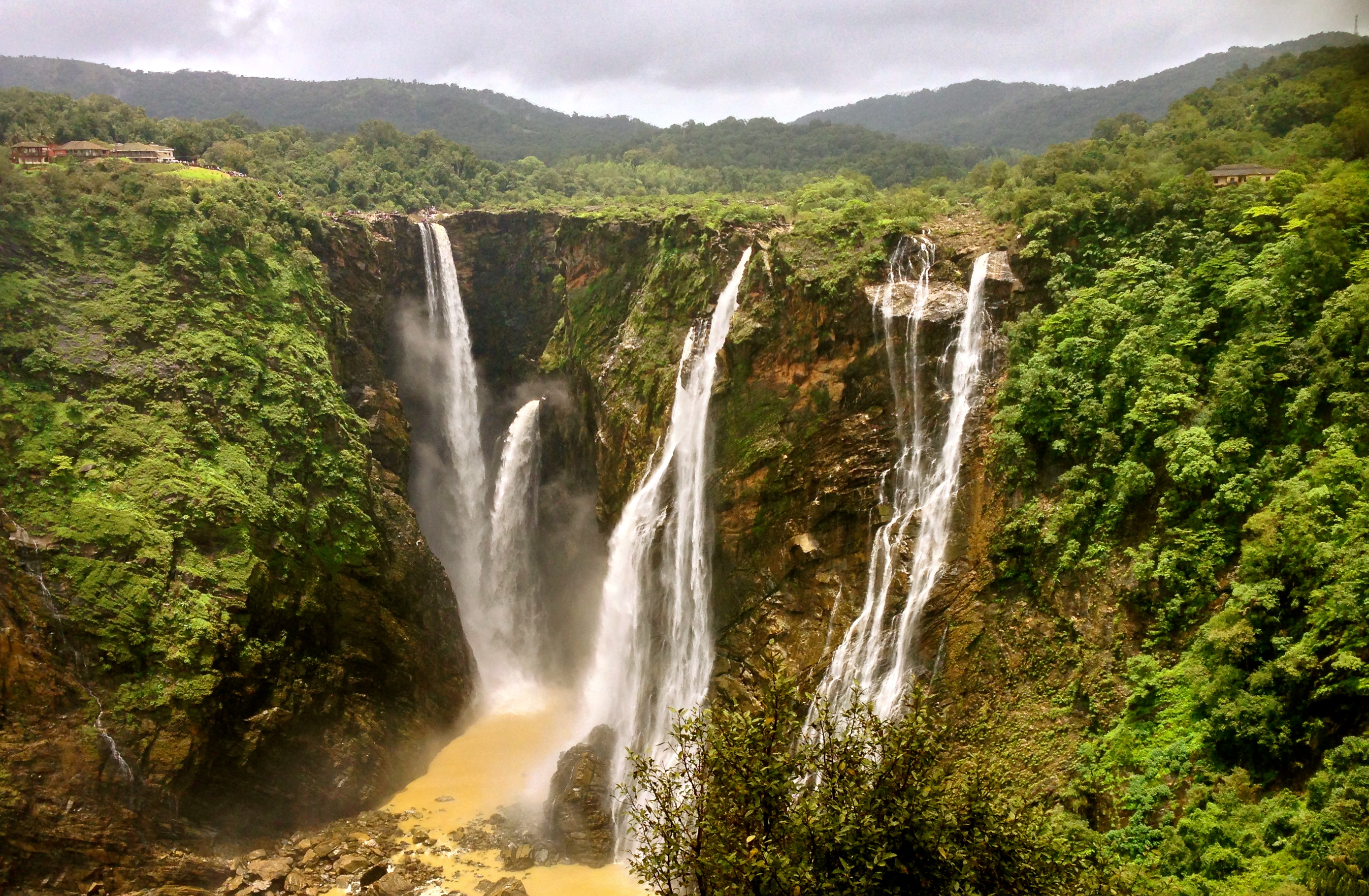 Jog Falls In India Photo And Picture Sharing Free Download