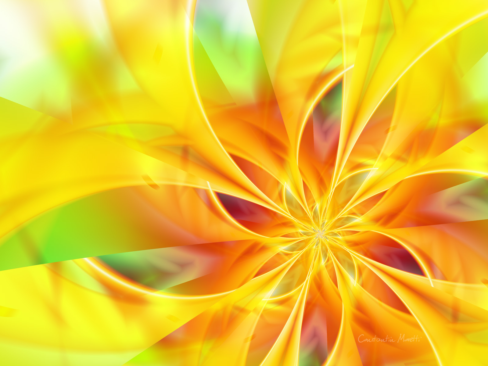 Beautiful Colorful Flower And Yellow HD Wallpaper Picture Image