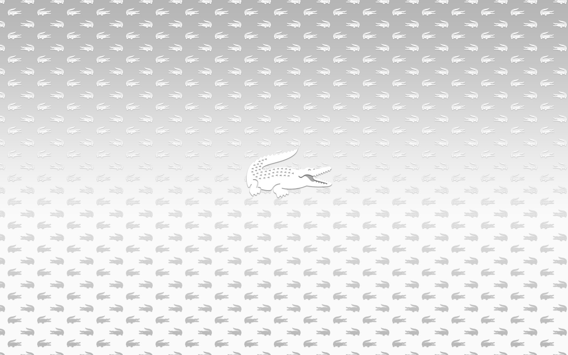 White Lacoste Logo Underwear HD Wallpaper Widescreen For PC Desktop