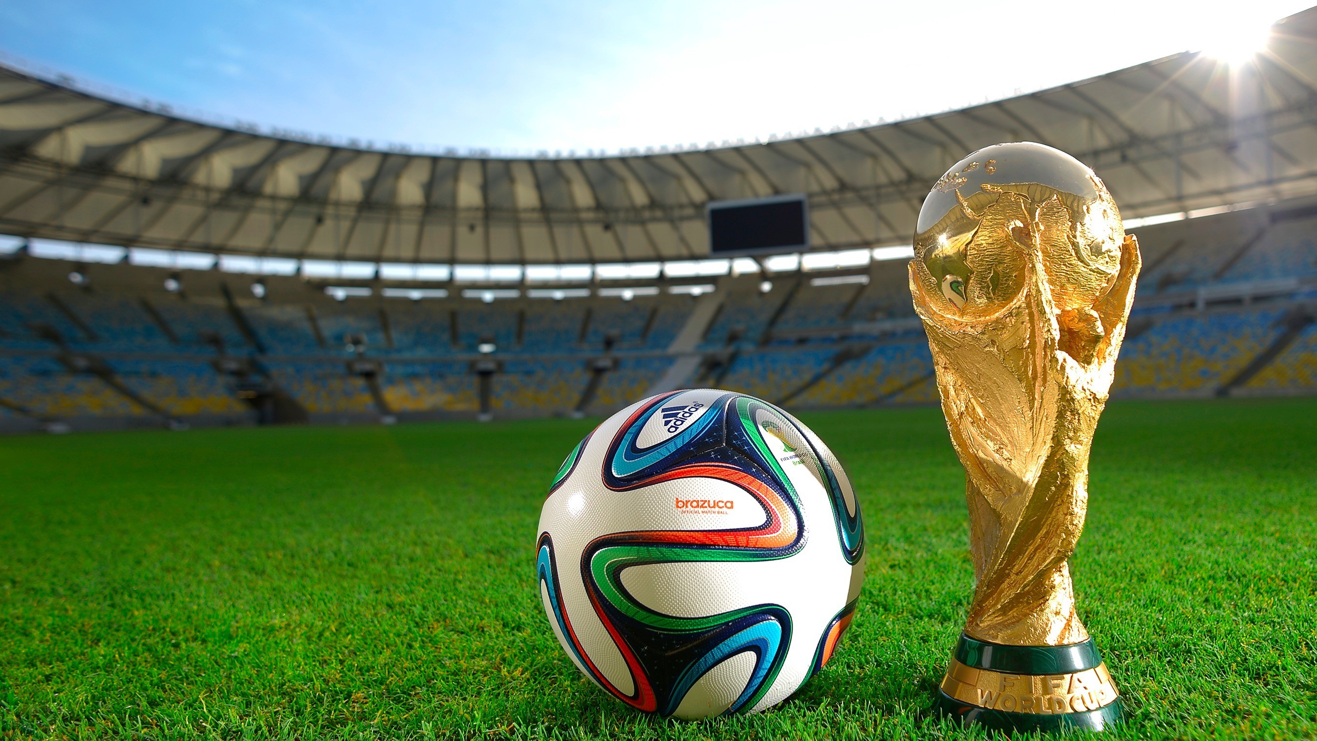FIFA World Cup Brasil 2014 Trophy And Ball Photo Picture HD Wallpaper
