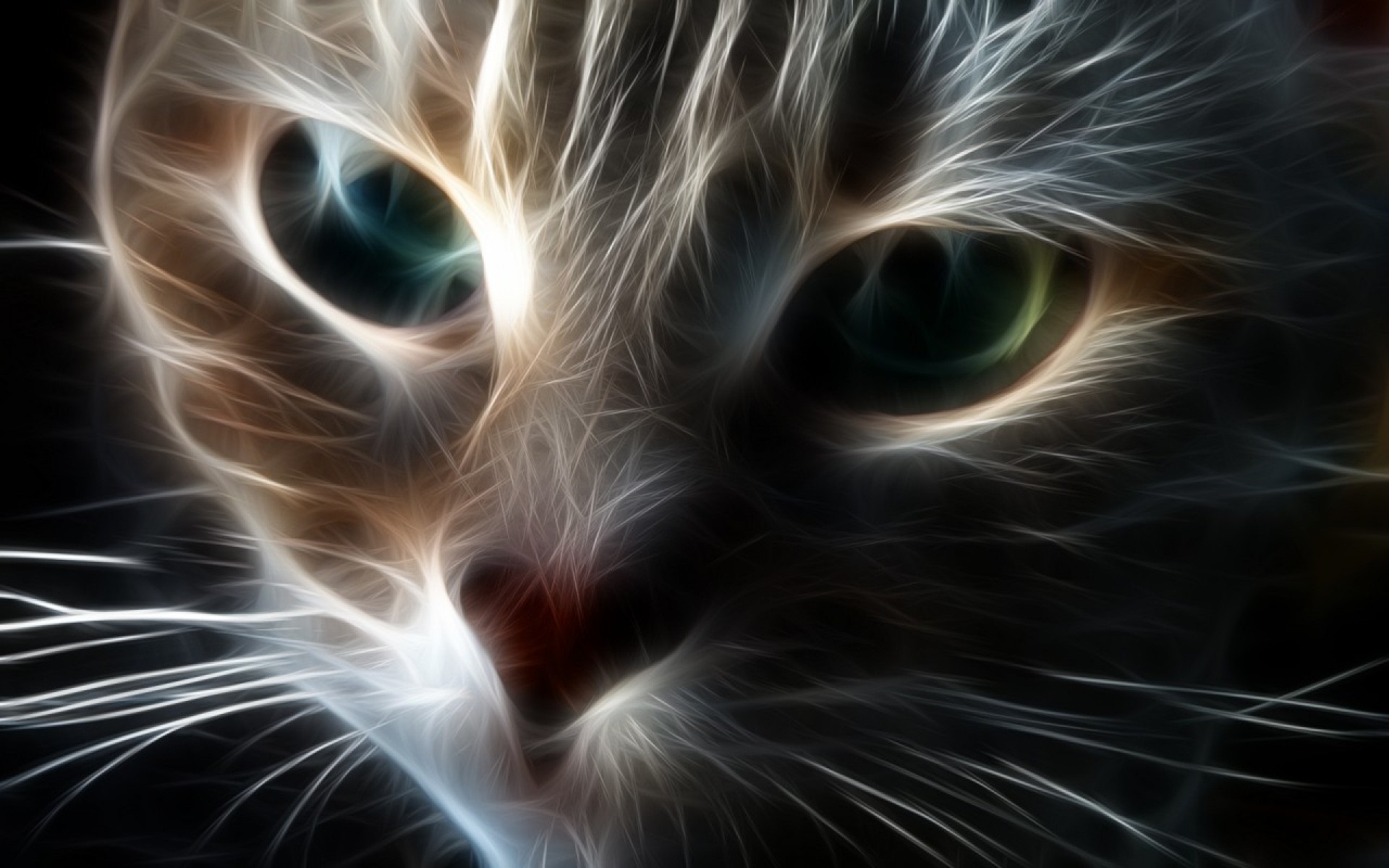Abstract of Cat Face HD Wallpaper