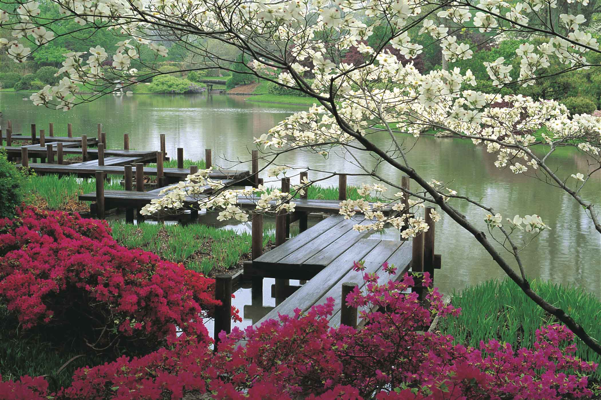 Japanese Garden and Pond HD Wallpaper