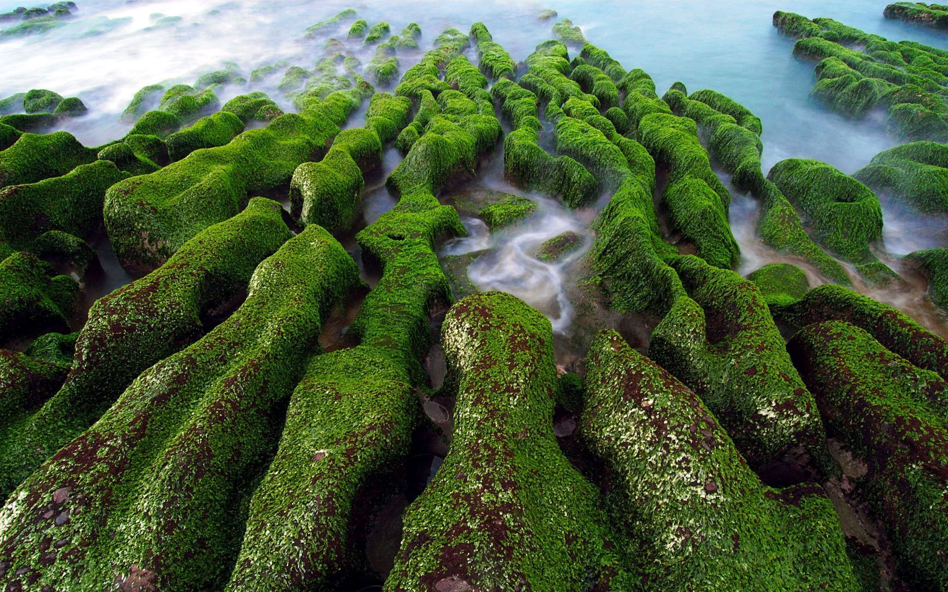 Green Rocks by the Ocean HD Wallpaper