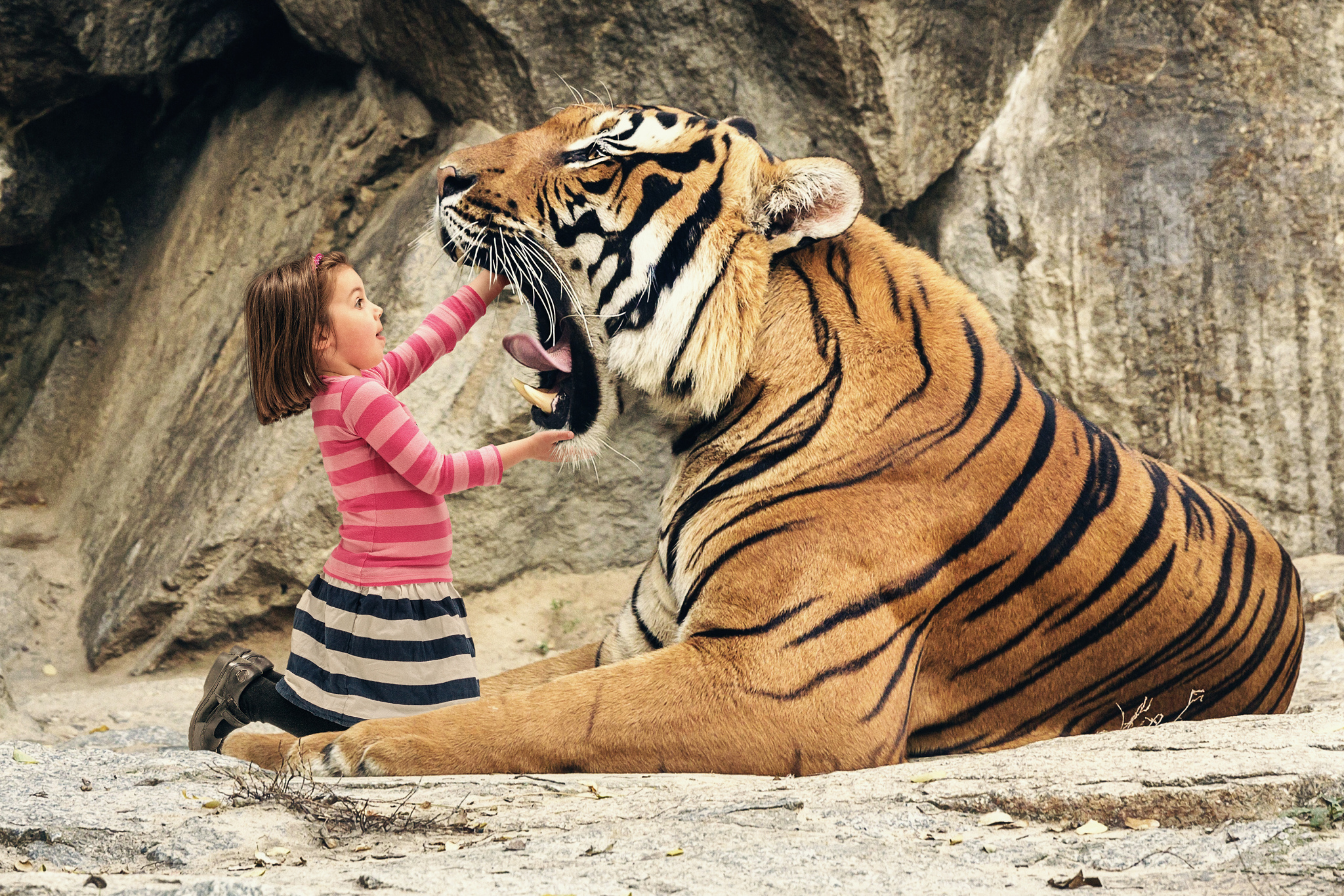 Say “aaahhh” Mr Tiger HD Wallpaper