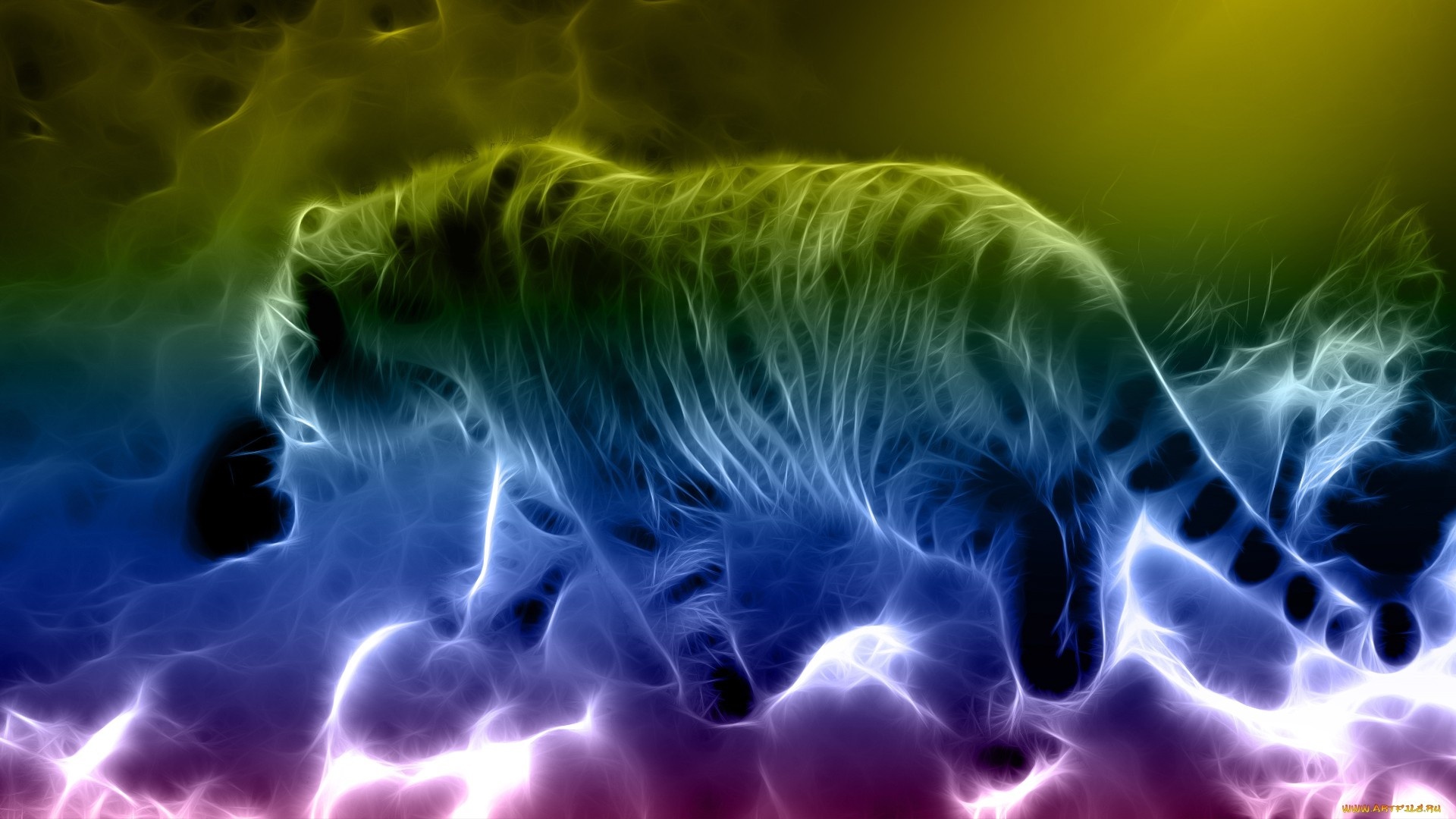 Abstract Tiger HD Wallpaper