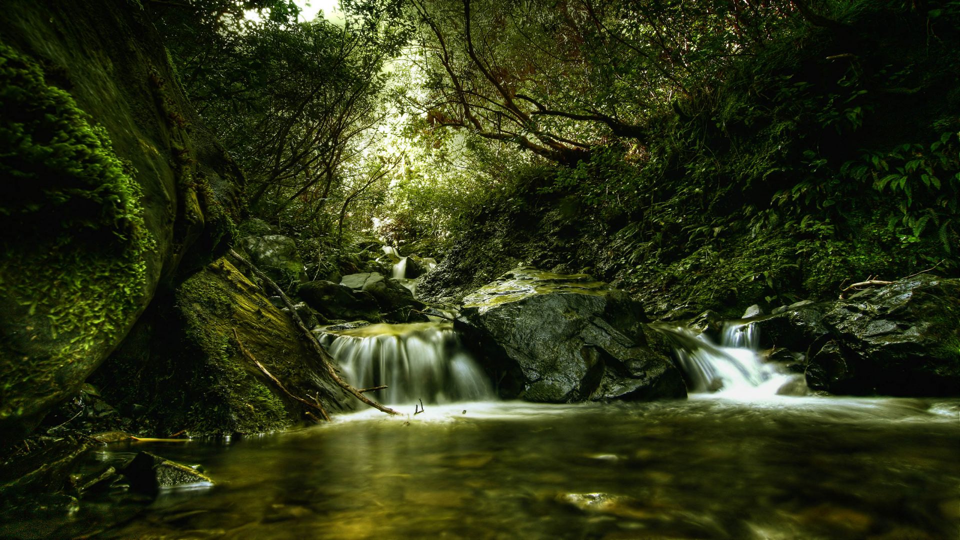Photo of Waterfall in Woods HD Wallpaper