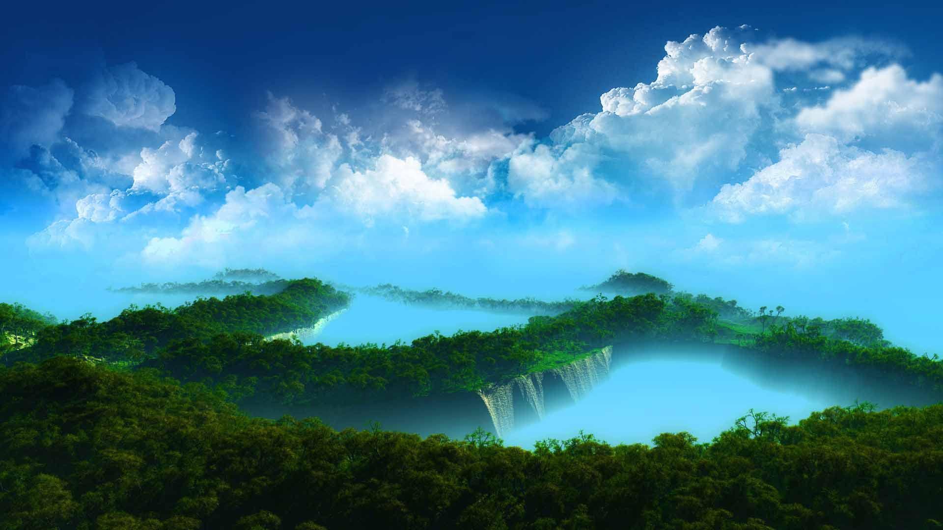 Treetops in the Clouds HD Wallpaper